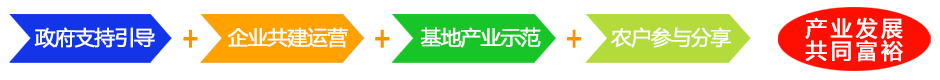 準旗網(wǎng)站合作模式940.png